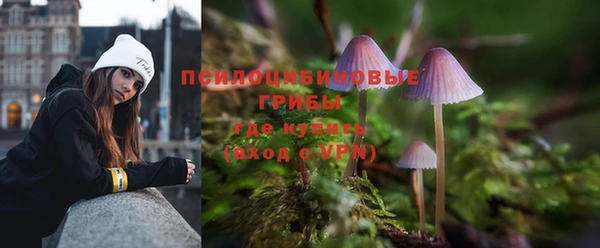 спайс Аркадак