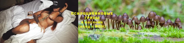 эйфоретик Армянск